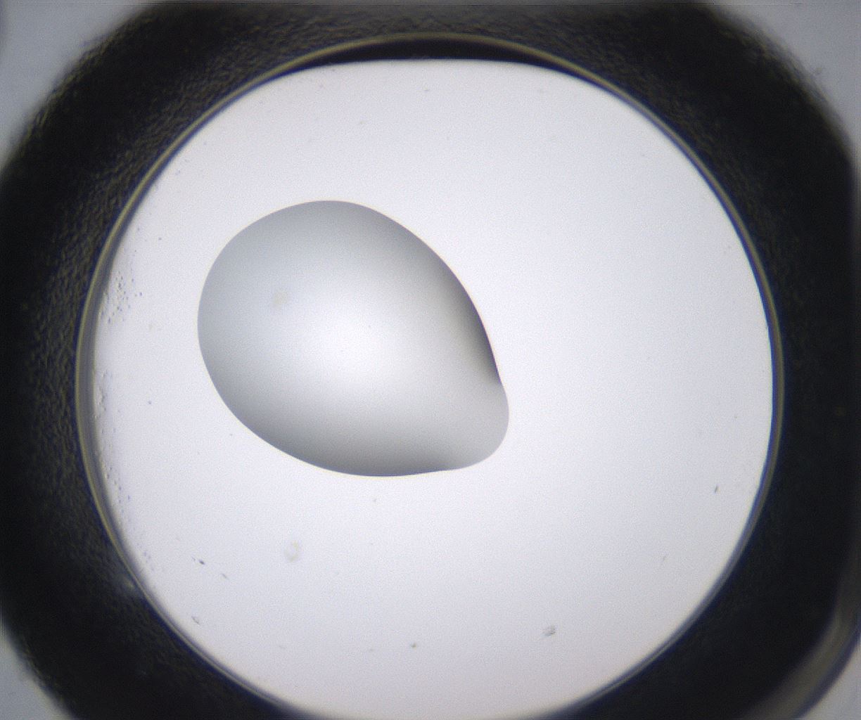 folderID350_plateID2350_batchID11073_wellNum53_profileID1_d2_r166828_ef.jpg