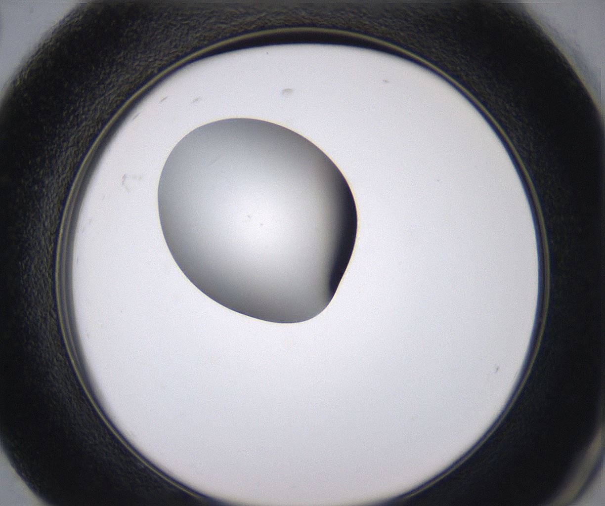 folderID350_plateID2350_batchID11073_wellNum92_profileID1_d2_r166906_ef.jpg
