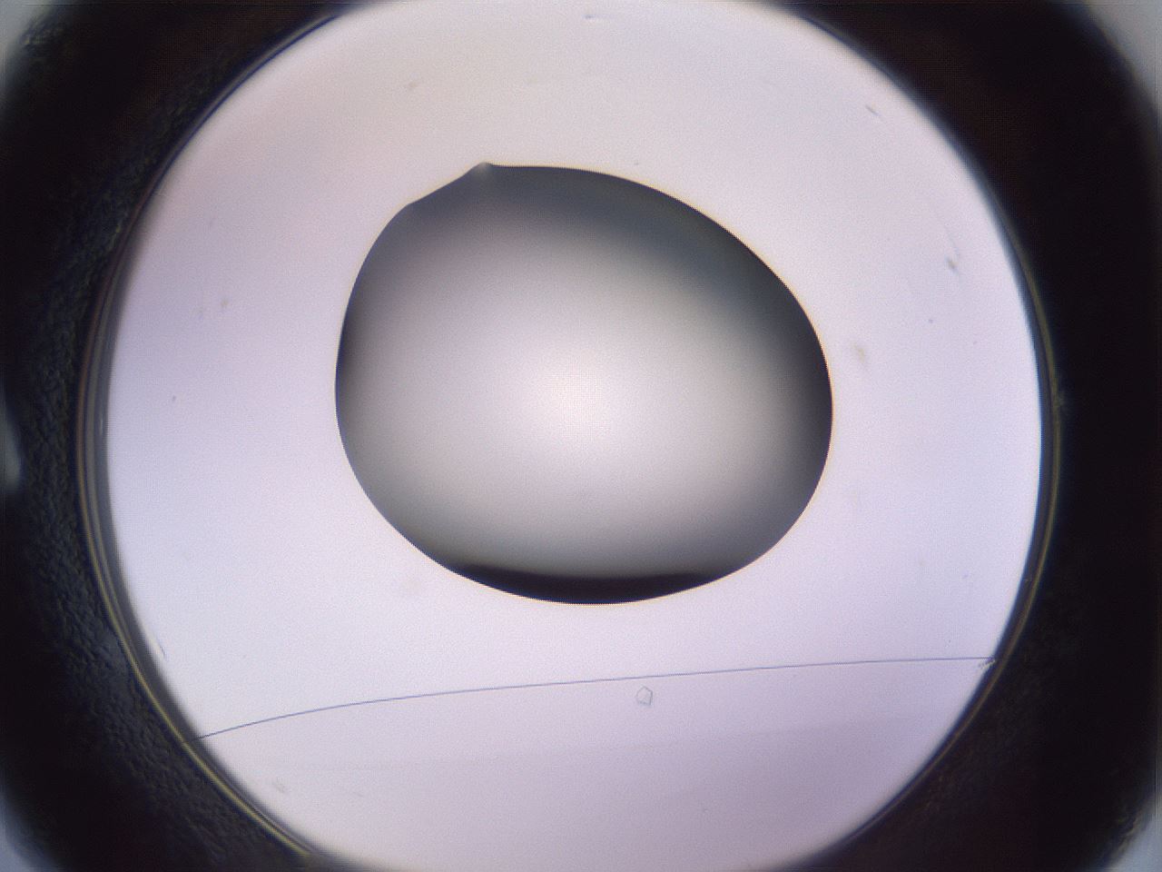 folderID351_plateID1351_batchID4706_wellNum1_profileID1_d1_r81516_ef.jpg