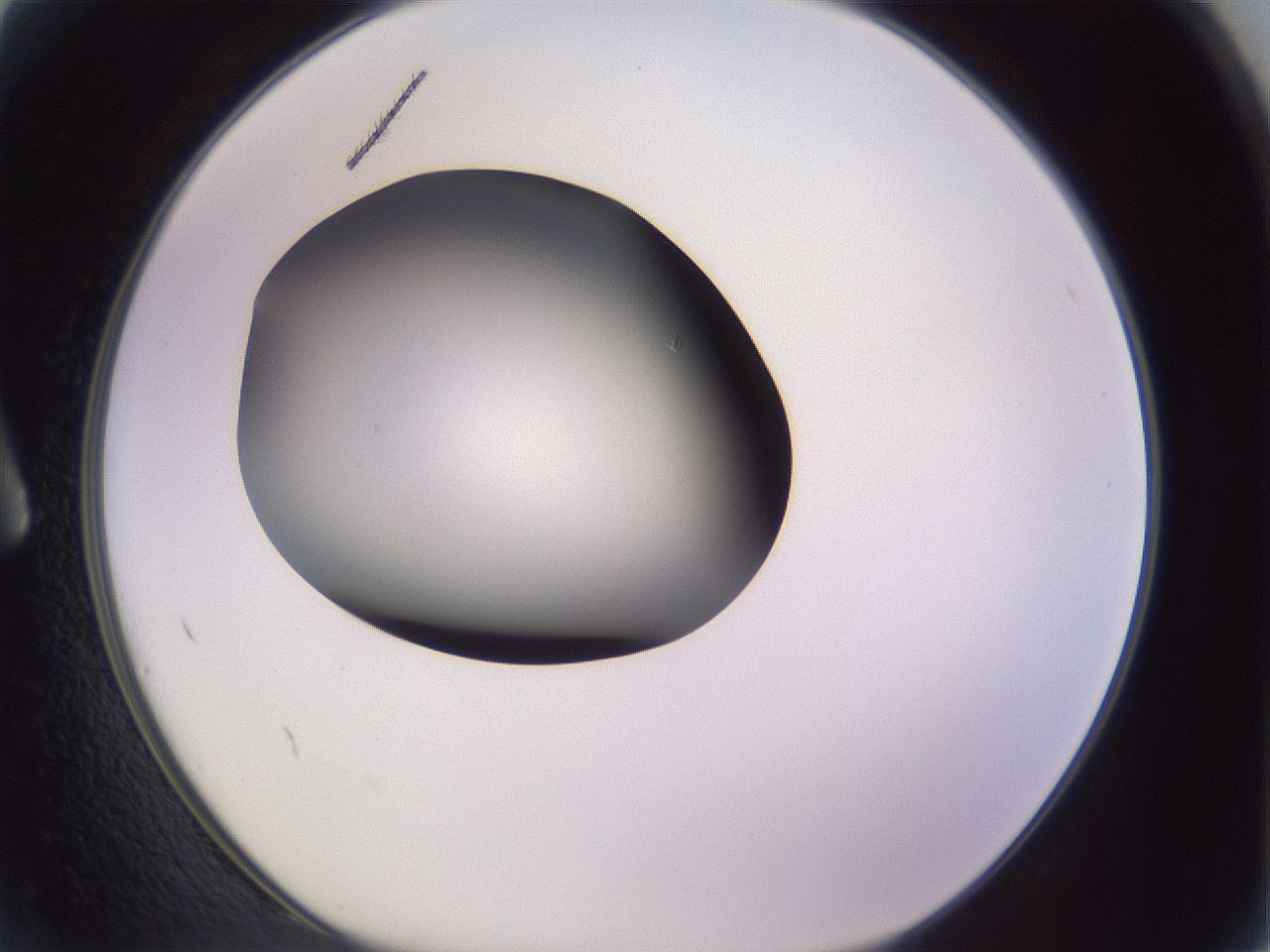 folderID351_plateID1351_batchID4706_wellNum2_profileID1_d1_r81517_ef.jpg