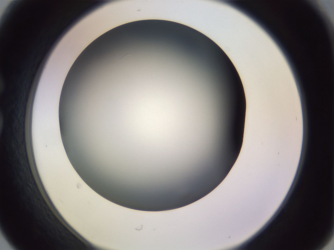 folderID351_plateID1351_batchID4706_wellNum30_profileID1_d1_r81545_ef.jpg