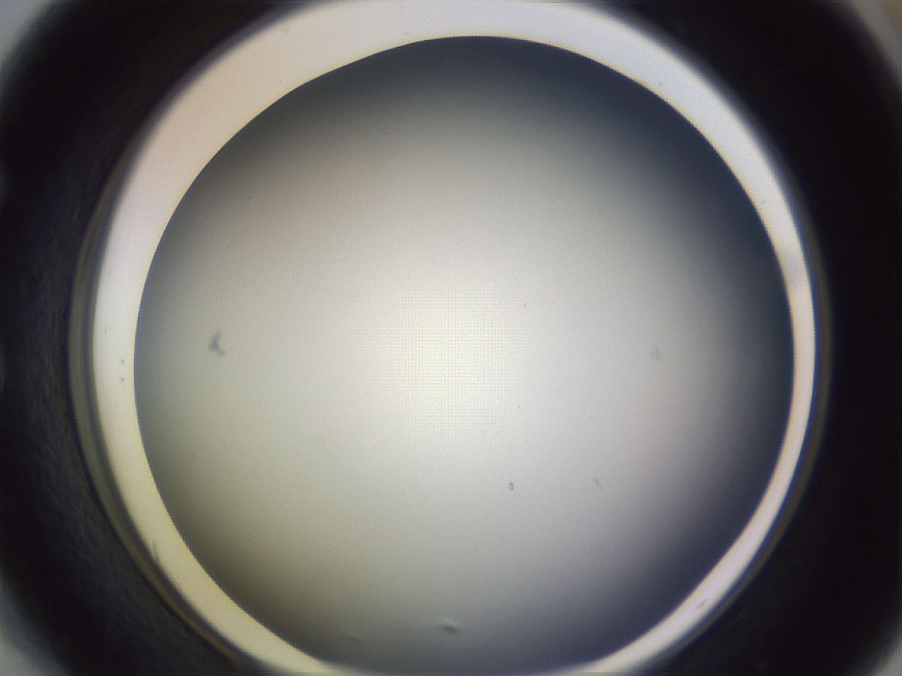 folderID351_plateID1351_batchID4706_wellNum54_profileID1_d1_r81569_ef.jpg