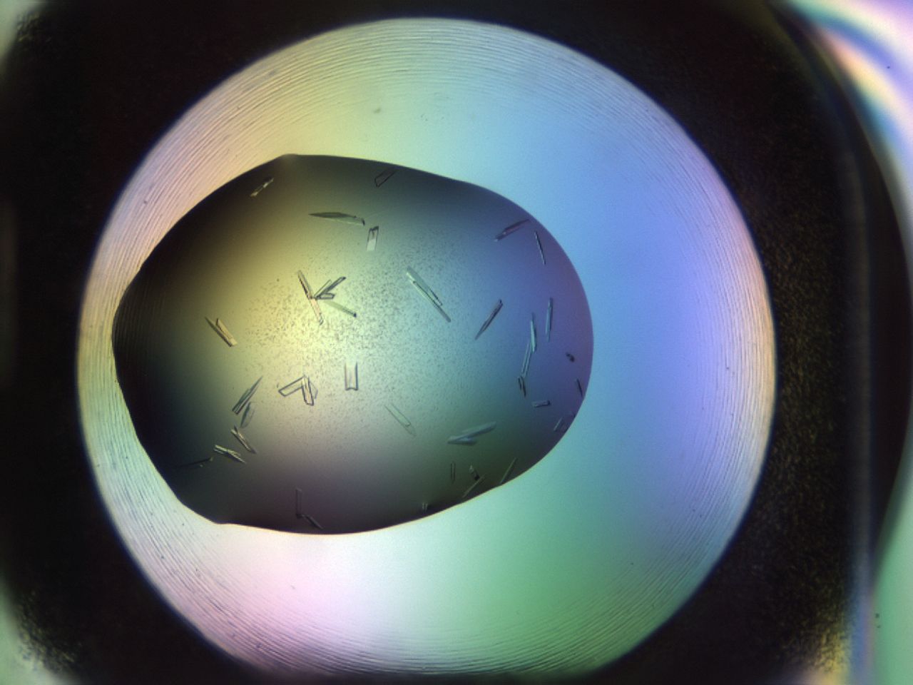 02kh_H5_ImagerDefaults_9.jpg