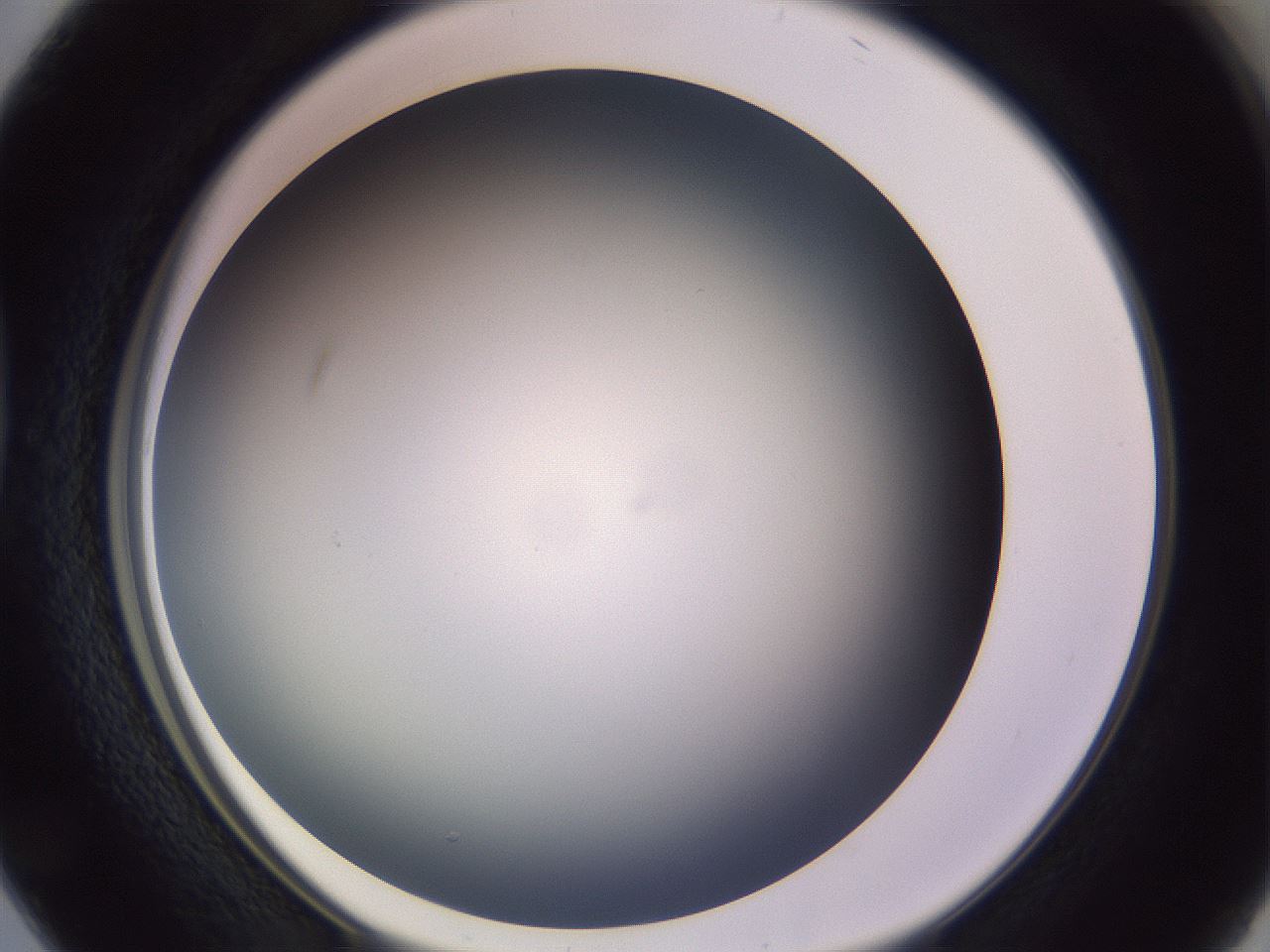 folderID351_plateID1351_batchID4706_wellNum38_profileID1_d1_r81553_ef.jpg