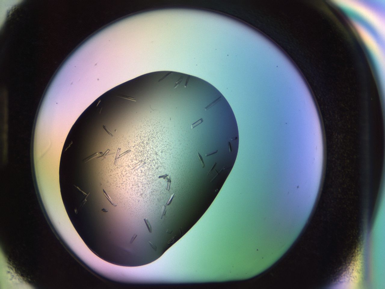 02kh_H6_ImagerDefaults_9.jpg