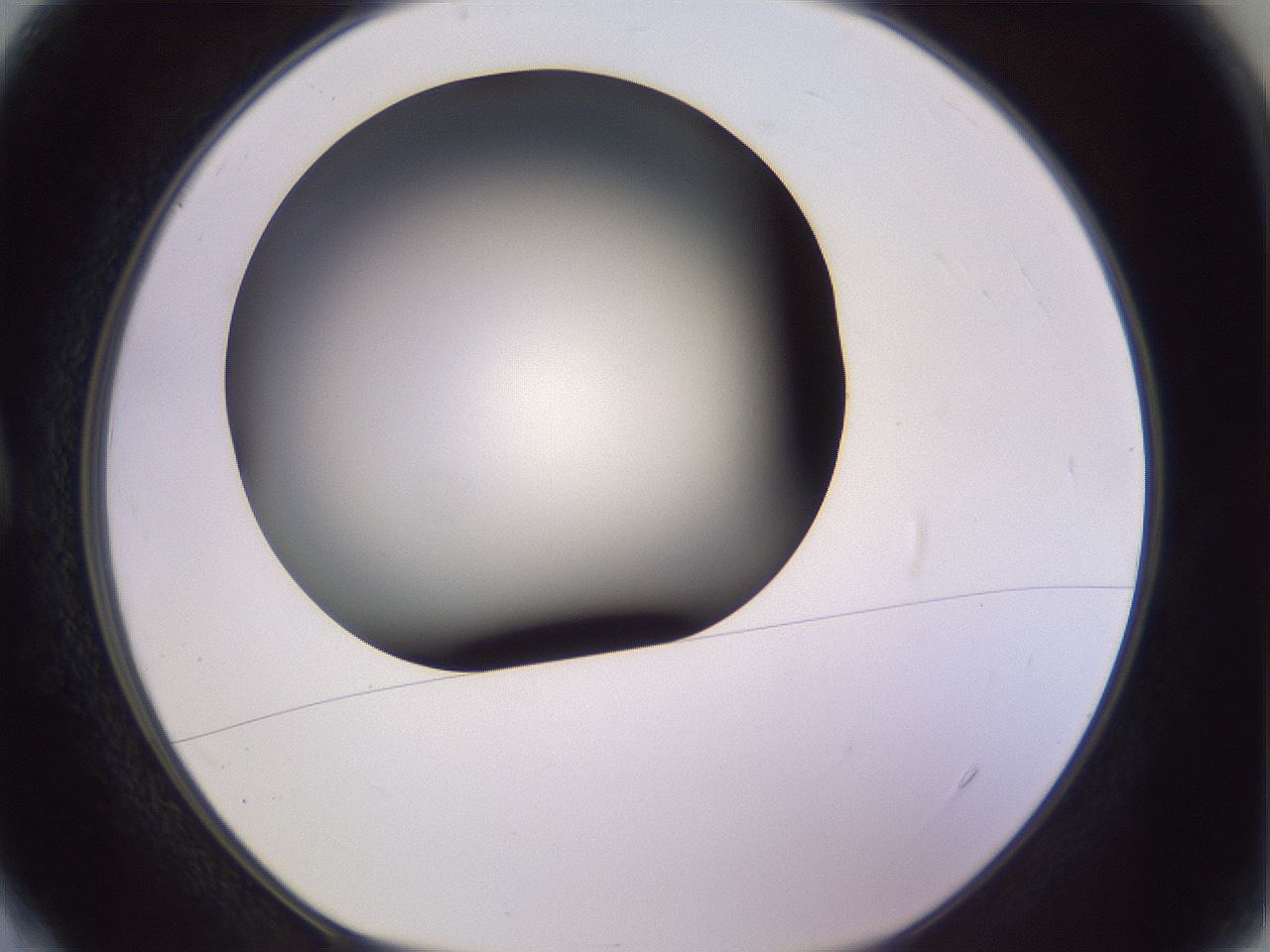 folderID351_plateID1351_batchID4706_wellNum4_profileID1_d1_r81519_ef.jpg