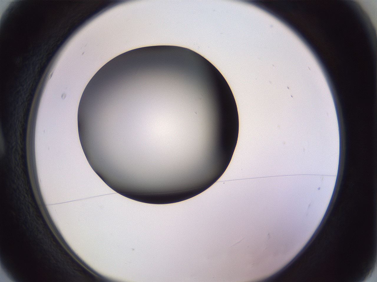 folderID351_plateID1351_batchID4706_wellNum5_profileID1_d1_r81520_ef.jpg
