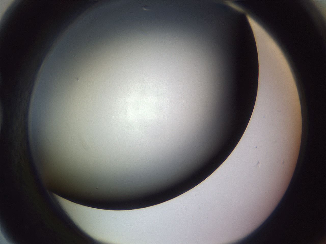 folderID351_plateID1351_batchID4706_wellNum79_profileID1_d1_r81594_ef.jpg
