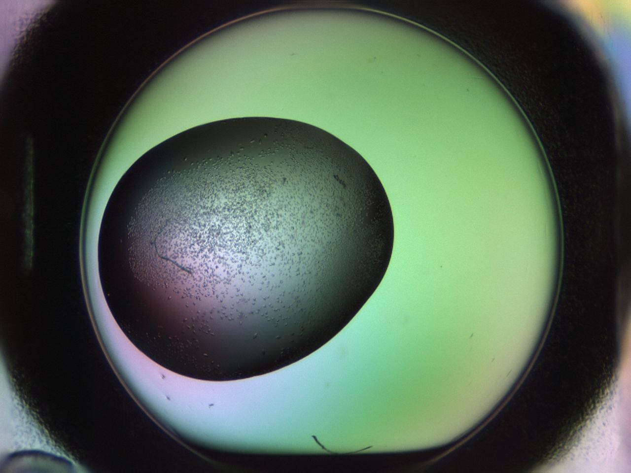 02kh_H12_ImagerDefaults_9.jpg