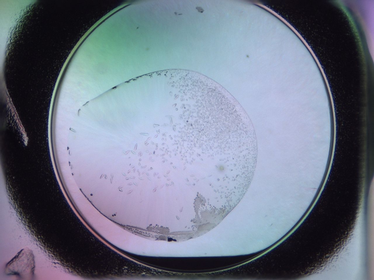 02kk_A11_ImagerDefaults_9.jpg