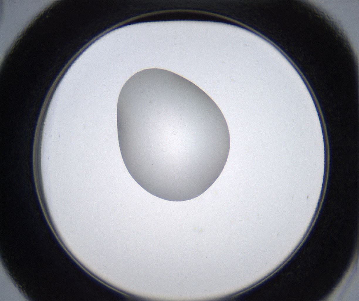 folderID351_plateID2351_batchID11072_wellNum39_profileID1_d2_r166032_ef.jpg