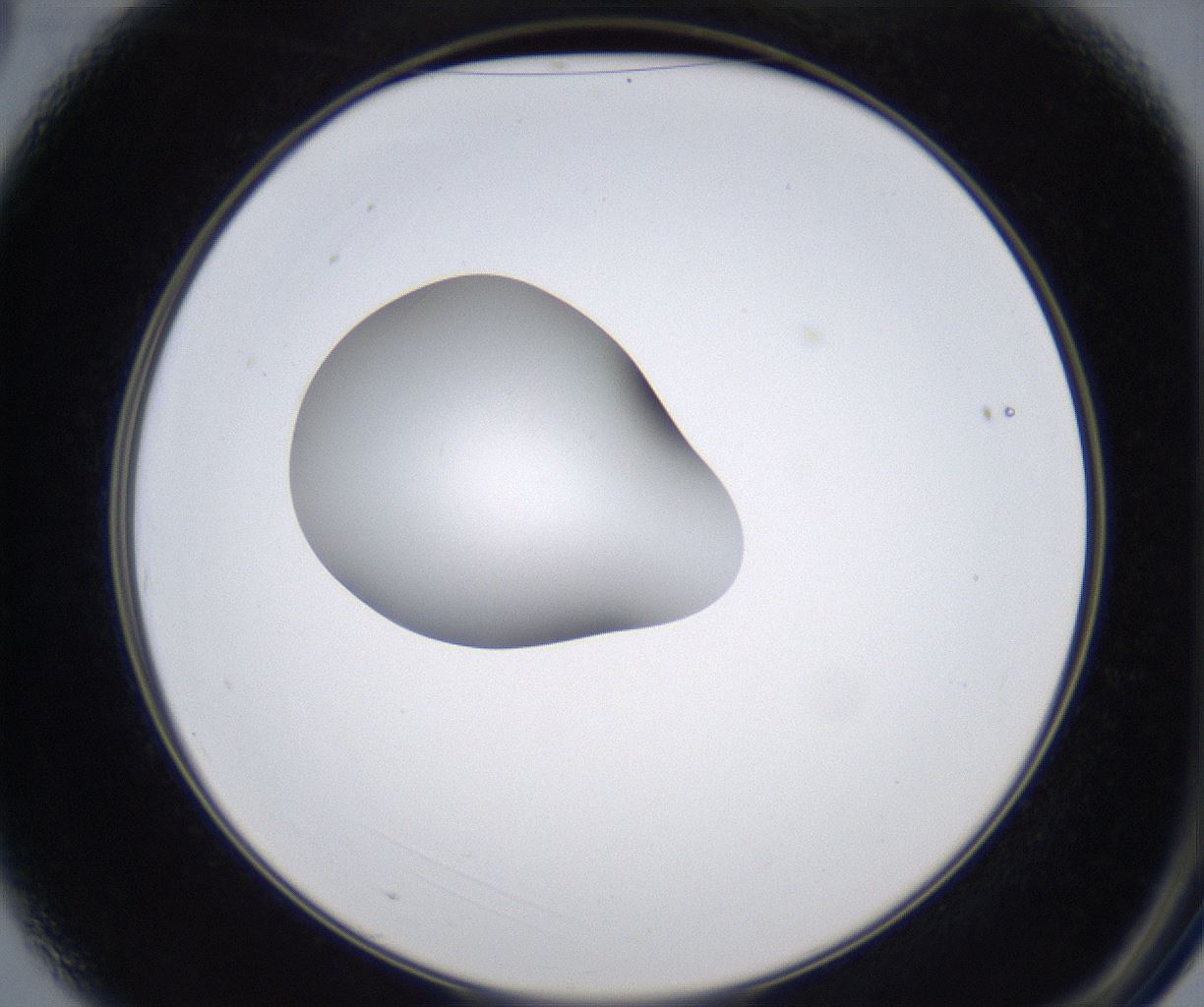 folderID351_plateID2351_batchID11072_wellNum3_profileID1_d2_r165960_ef.jpg