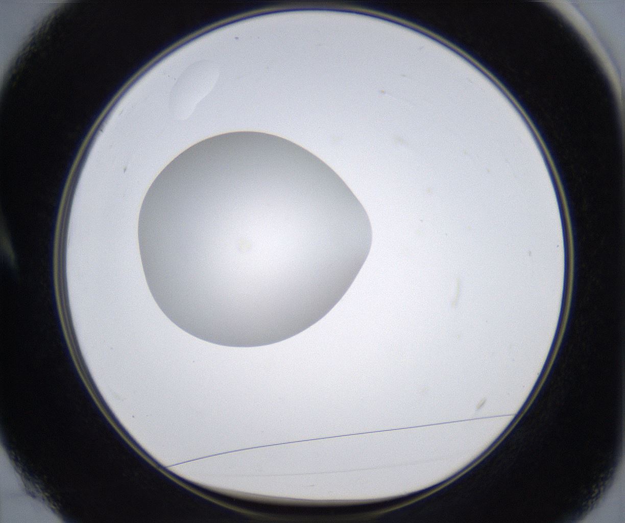 folderID351_plateID2351_batchID11072_wellNum4_profileID1_d1_r165961_ef.jpg
