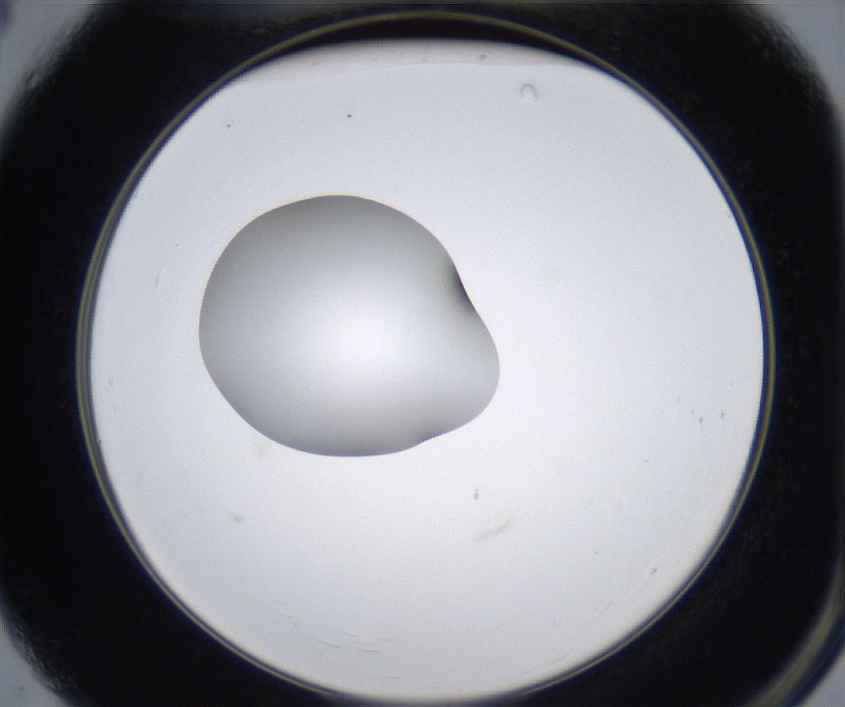 folderID351_plateID2351_batchID11072_wellNum4_profileID1_d2_r165962_ef.jpg