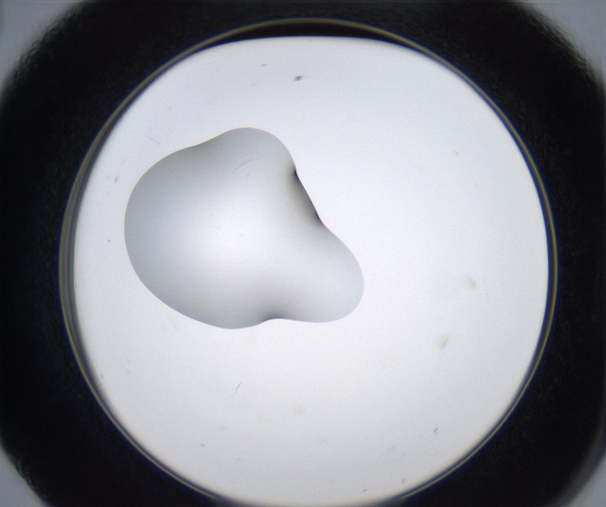folderID351_plateID2351_batchID11072_wellNum56_profileID1_d2_r166066_ef.jpg