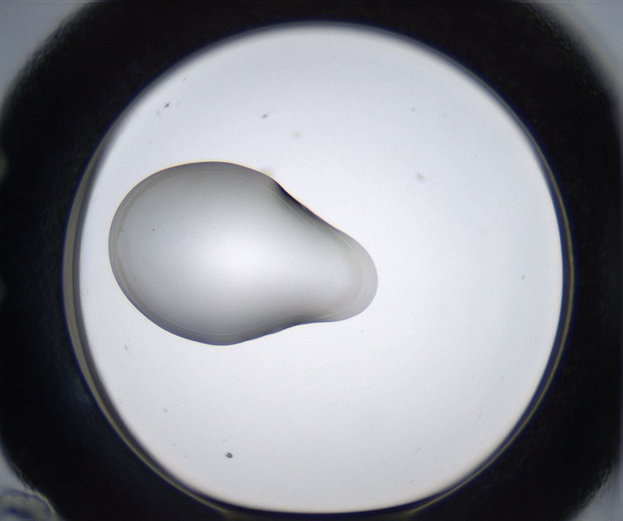 folderID351_plateID2351_batchID11072_wellNum58_profileID1_d1_r166069_ef.jpg