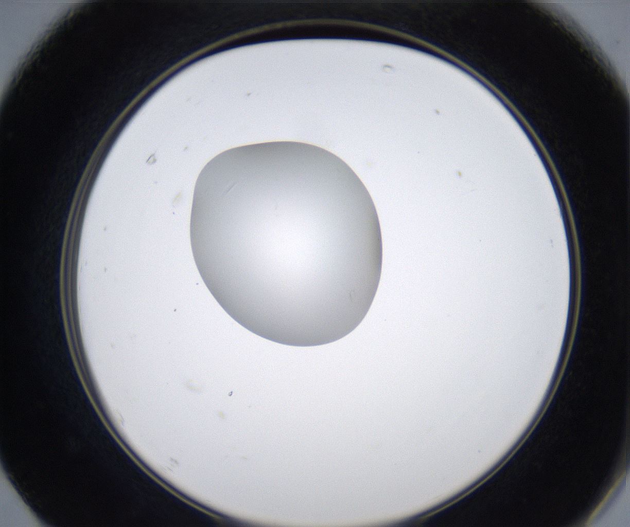 folderID351_plateID2351_batchID11072_wellNum67_profileID1_d2_r166088_ef.jpg