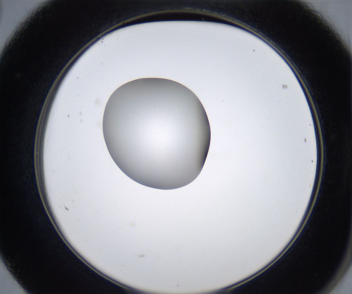 folderID351_plateID2351_batchID11072_wellNum68_profileID1_d2_r166090_ef.jpg