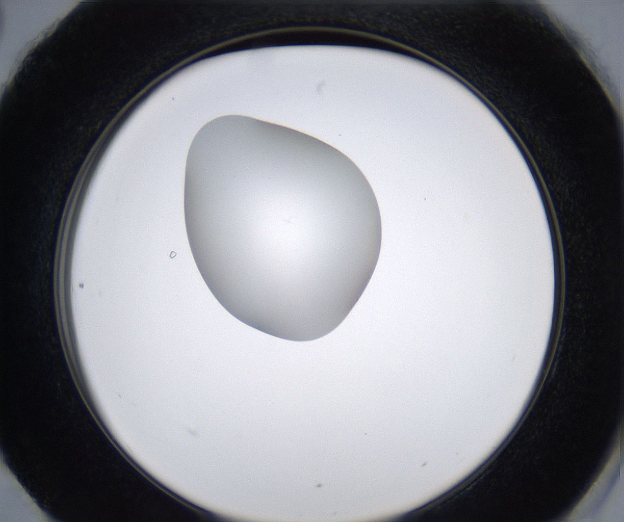 folderID351_plateID2351_batchID11072_wellNum90_profileID1_d2_r166134_ef.jpg