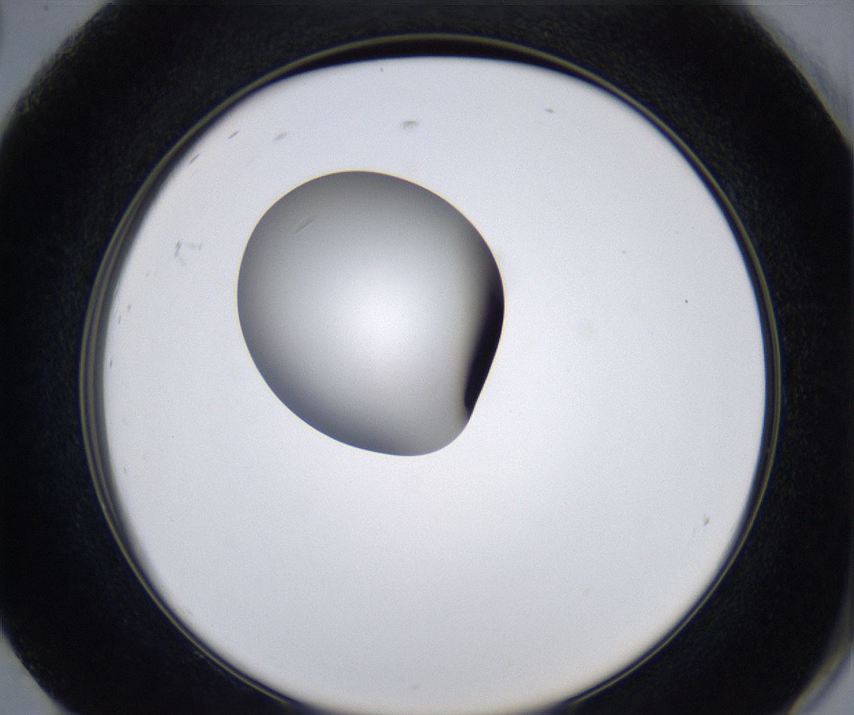folderID351_plateID2351_batchID11072_wellNum92_profileID1_d2_r166138_ef.jpg