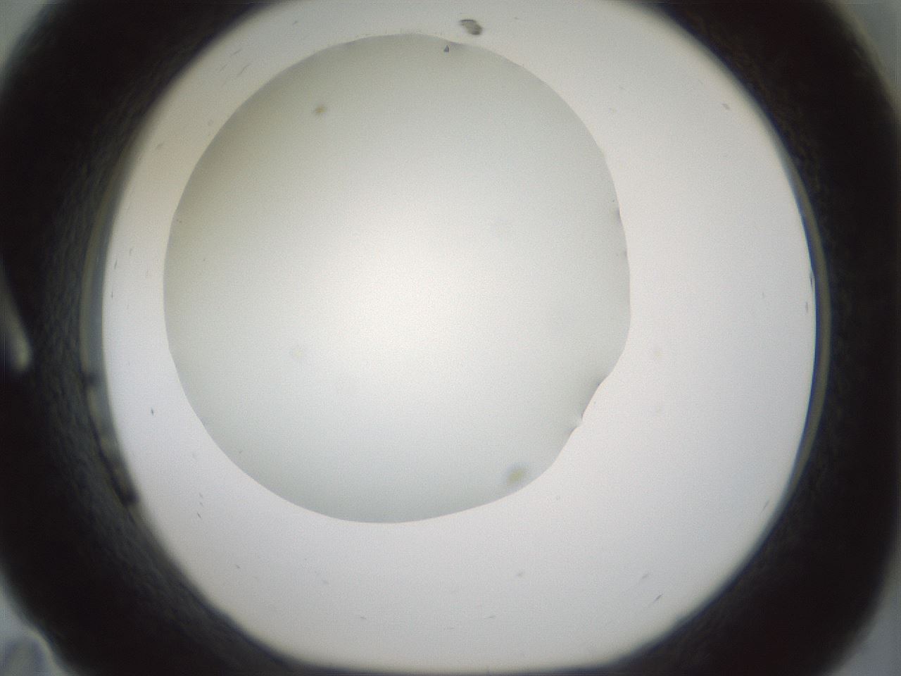 folderID352_plateID1352_batchID4709_wellNum11_profileID1_d1_r81814_ef.jpg