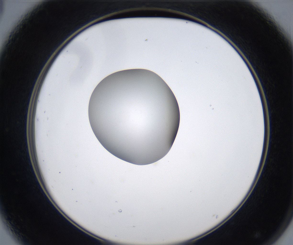 folderID351_plateID2351_batchID11072_wellNum44_profileID1_d2_r166042_ef.jpg