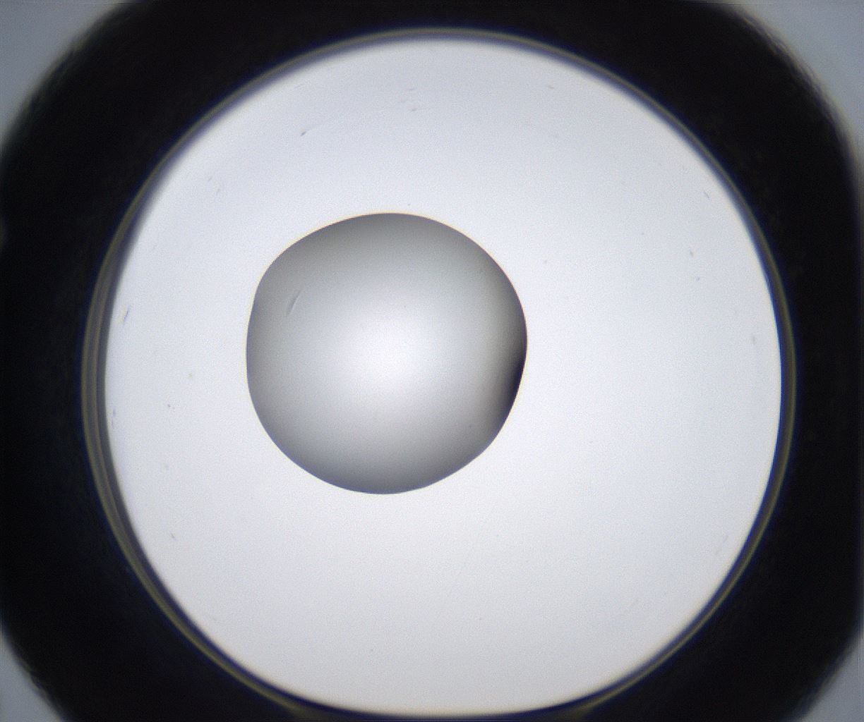 folderID351_plateID2351_batchID11072_wellNum67_profileID1_d1_r166087_ef.jpg