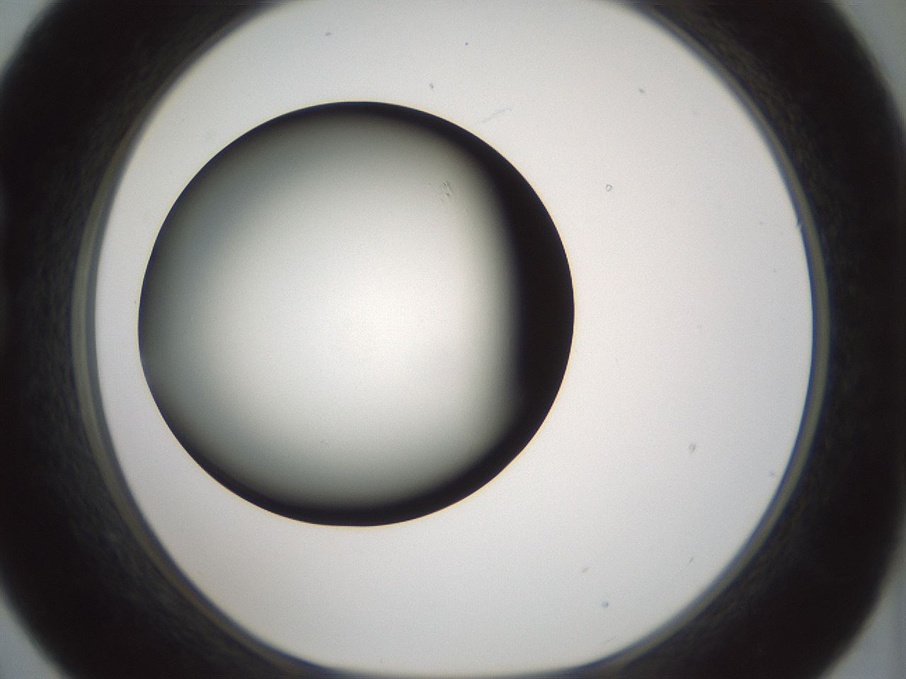 folderID352_plateID1352_batchID4709_wellNum21_profileID1_d1_r81824_ef.jpg