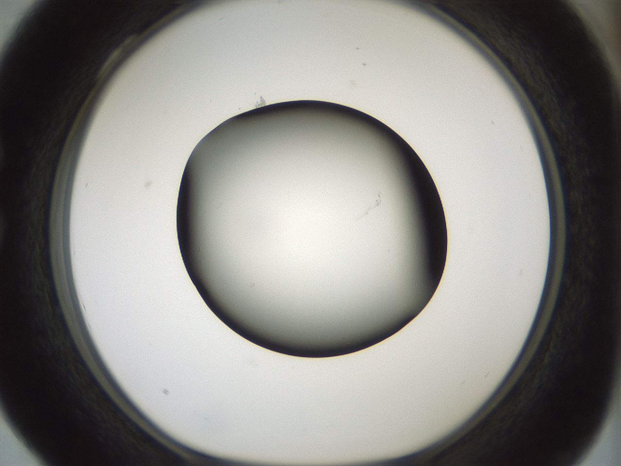 folderID352_plateID1352_batchID4709_wellNum28_profileID1_d1_r81831_ef.jpg