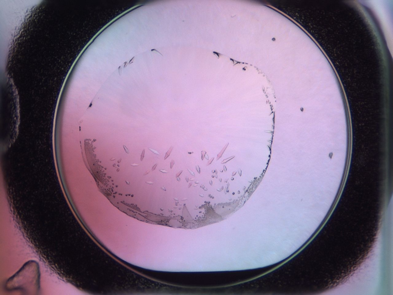02kk_D11_ImagerDefaults_9.jpg