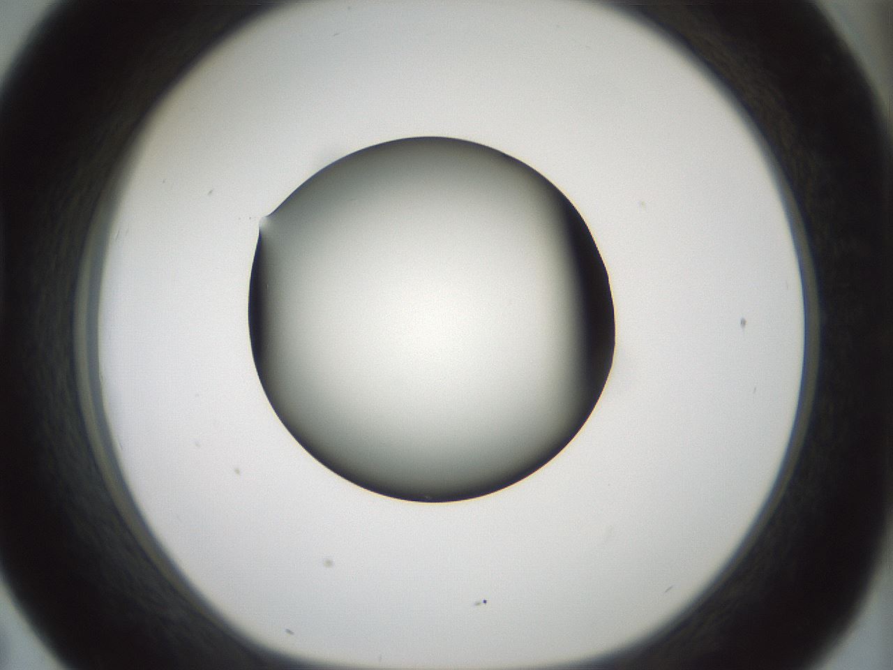 folderID352_plateID1352_batchID4709_wellNum43_profileID1_d1_r81846_ef.jpg