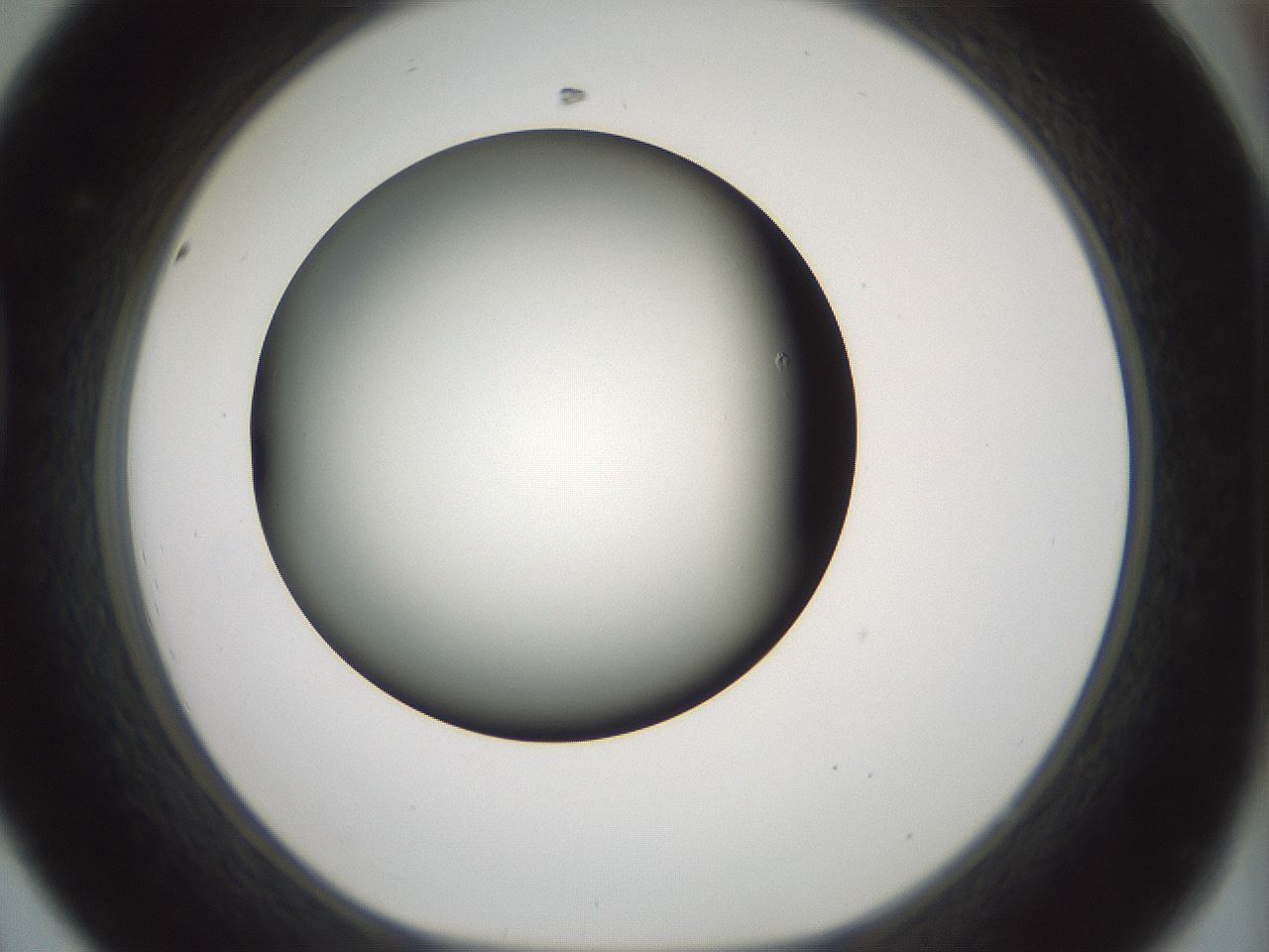 folderID352_plateID1352_batchID4709_wellNum44_profileID1_d1_r81847_ef.jpg