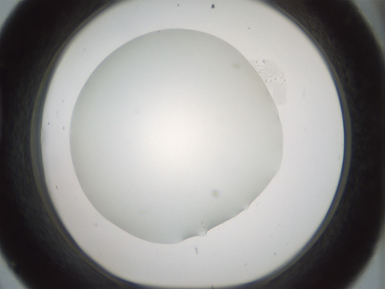 folderID352_plateID1352_batchID4709_wellNum45_profileID1_d1_r81848_ef.jpg
