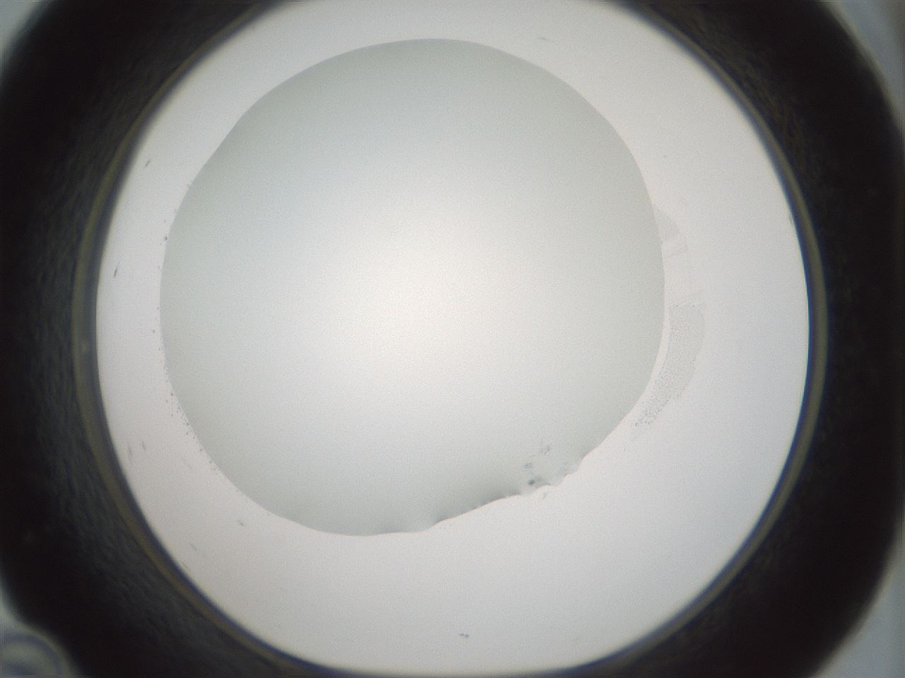 folderID352_plateID1352_batchID4709_wellNum46_profileID1_d1_r81849_ef.jpg