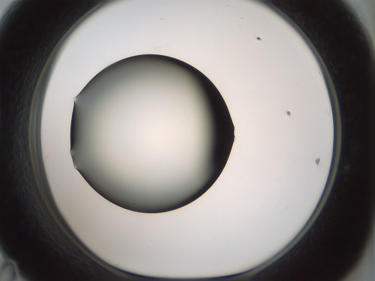 folderID352_plateID1352_batchID4709_wellNum47_profileID1_d1_r81850_ef.jpg