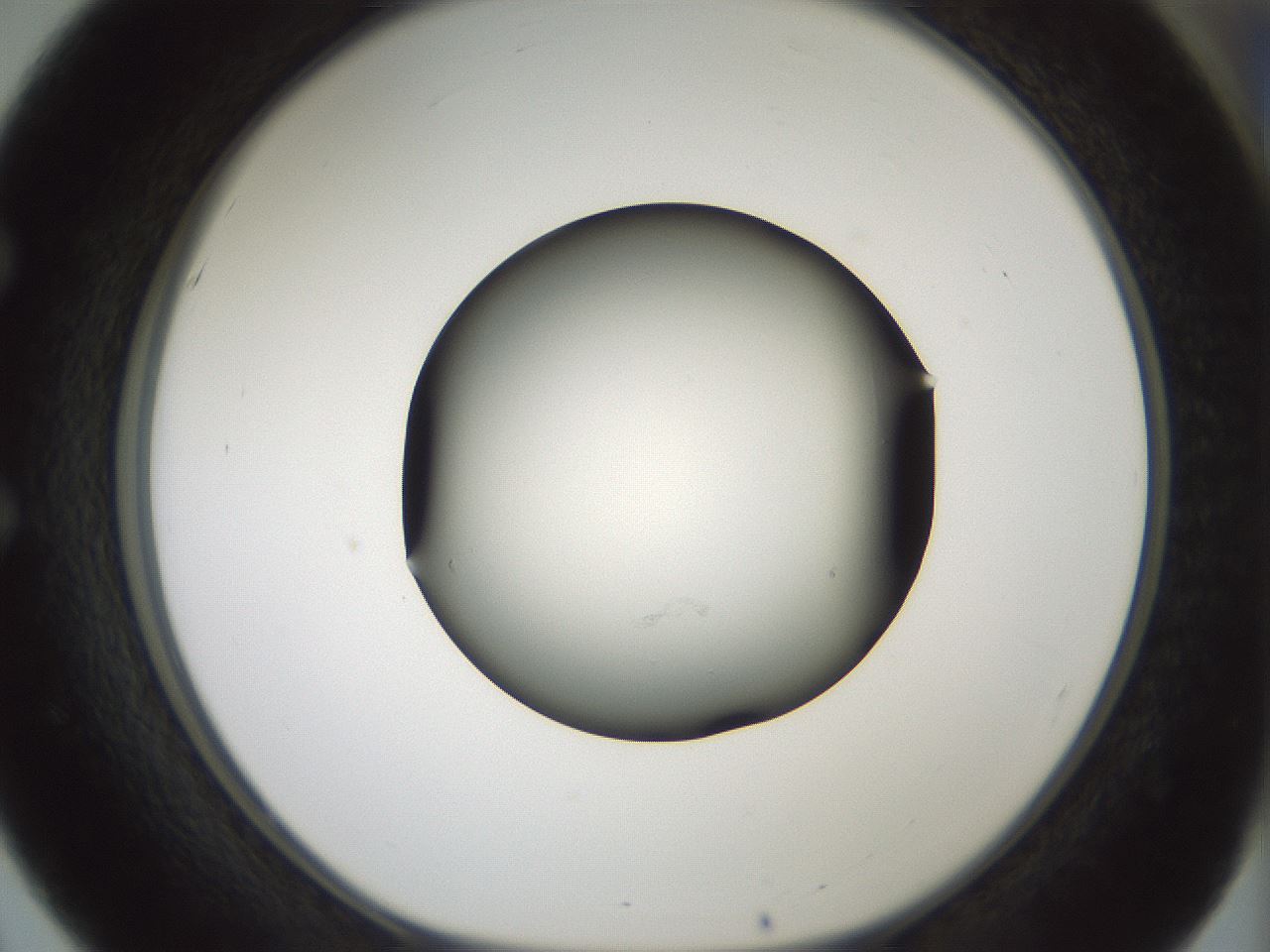 folderID352_plateID1352_batchID4709_wellNum51_profileID1_d1_r81854_ef.jpg