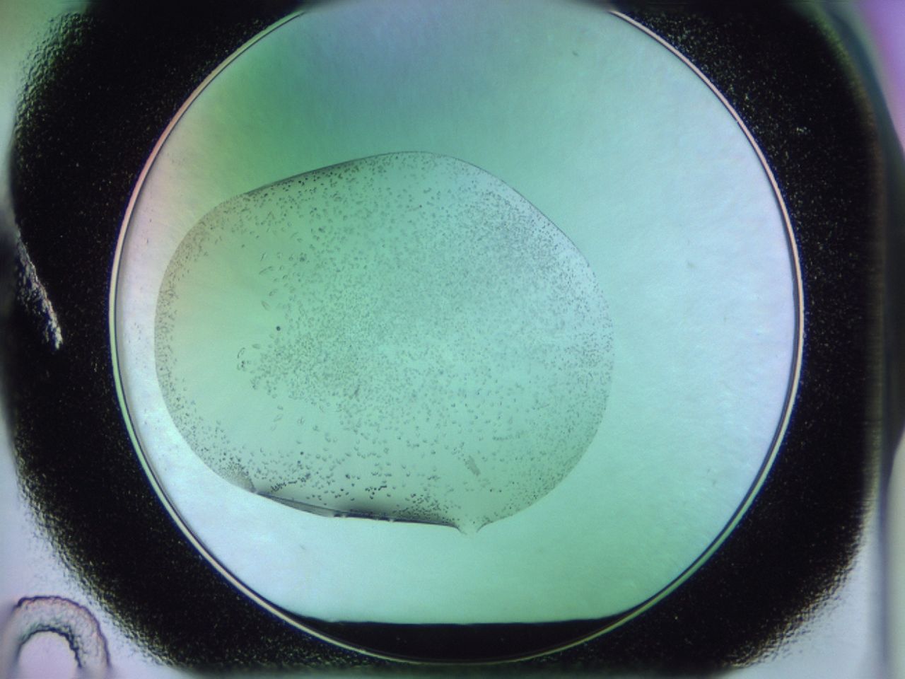 02kk_A10_ImagerDefaults_9.jpg