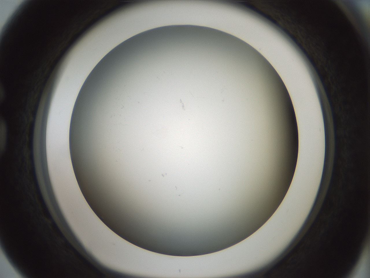 folderID352_plateID1352_batchID4709_wellNum76_profileID1_d1_r81879_ef.jpg