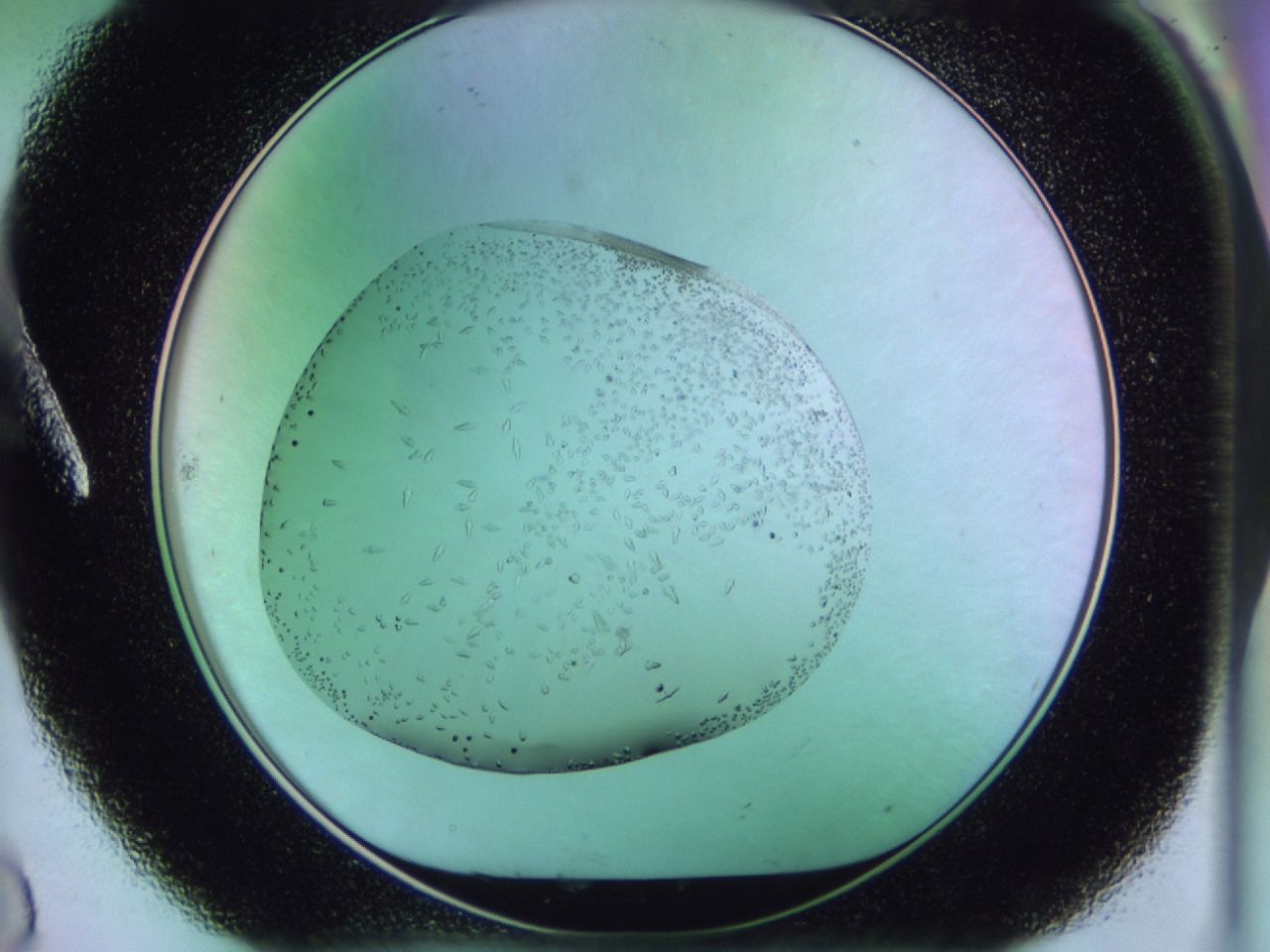 02kk_A8_ImagerDefaults_9.jpg