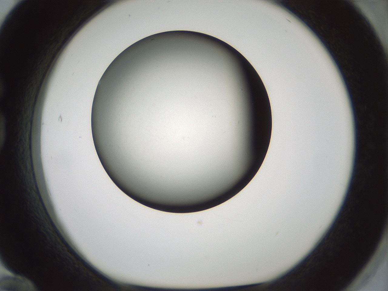 folderID352_plateID1352_batchID4709_wellNum84_profileID1_d1_r81887_ef.jpg