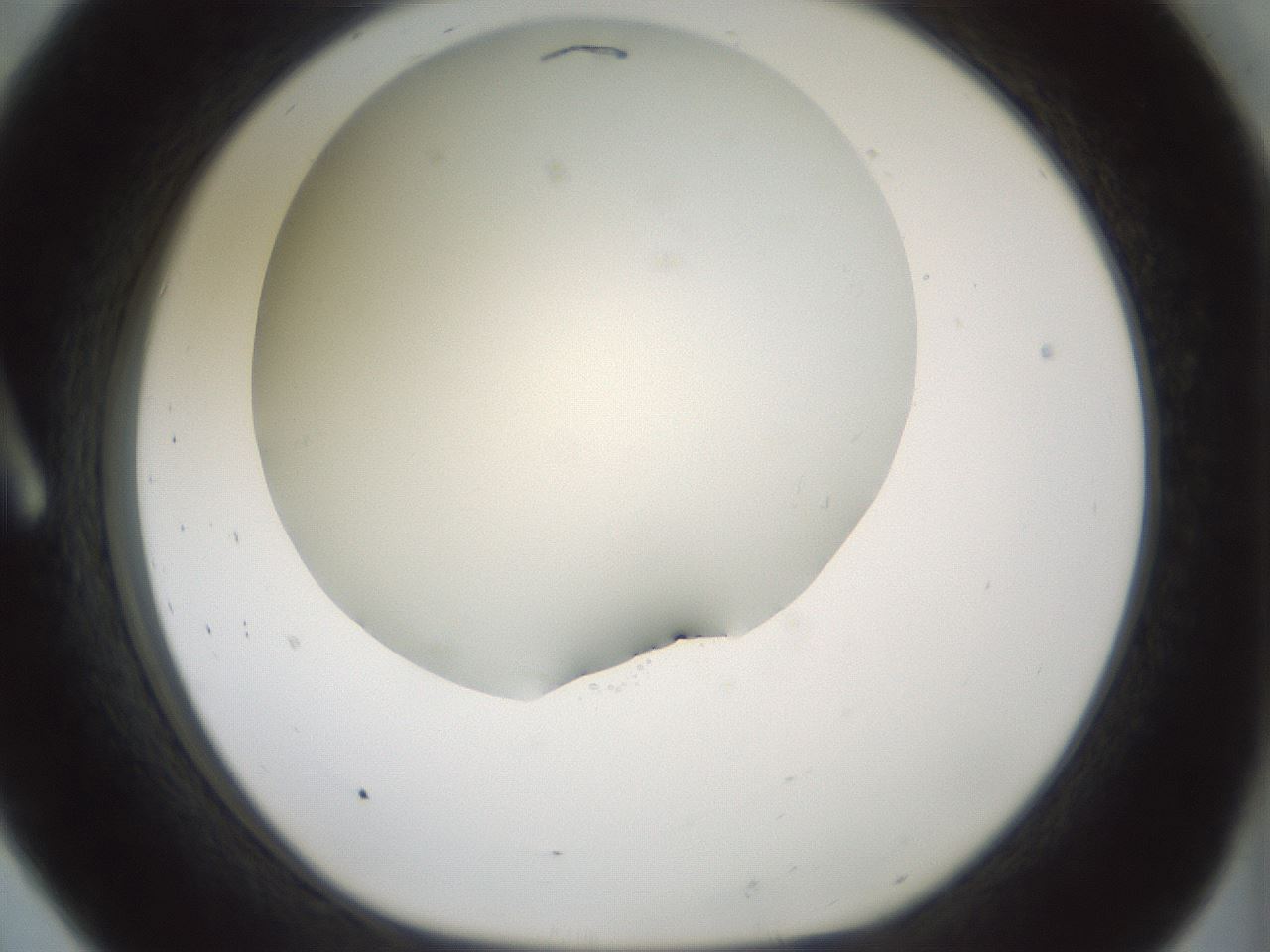 folderID352_plateID1352_batchID4709_wellNum8_profileID1_d1_r81811_ef.jpg