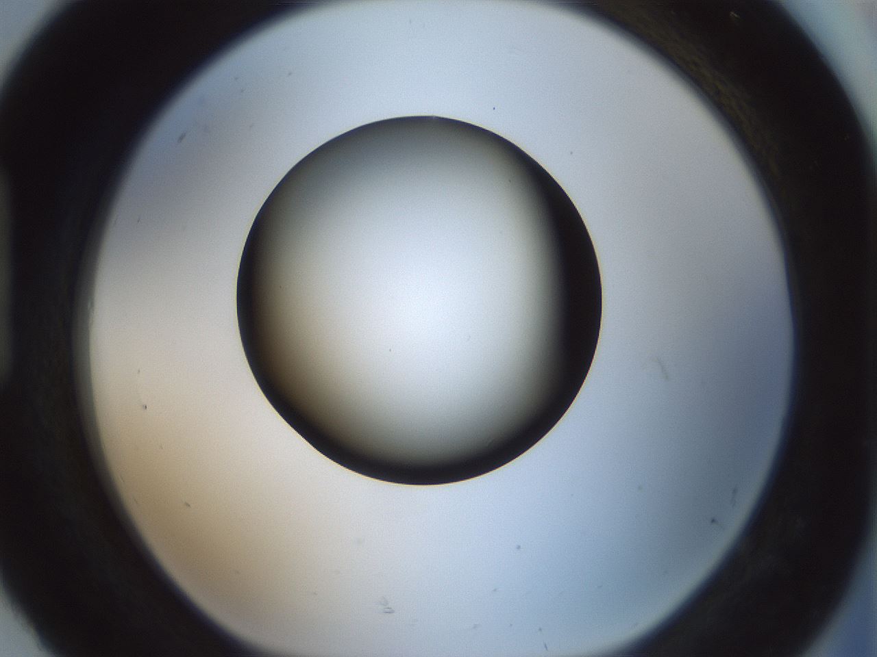 folderID352_plateID1352_batchID4709_wellNum92_profileID1_d1_r81895_ef.jpg