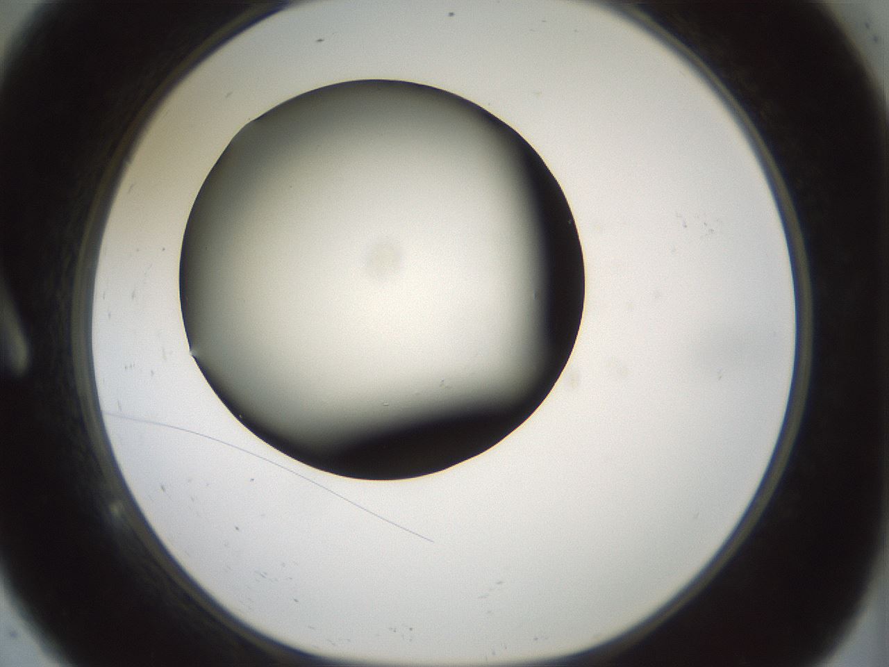 folderID352_plateID1352_batchID4709_wellNum9_profileID1_d1_r81812_ef.jpg