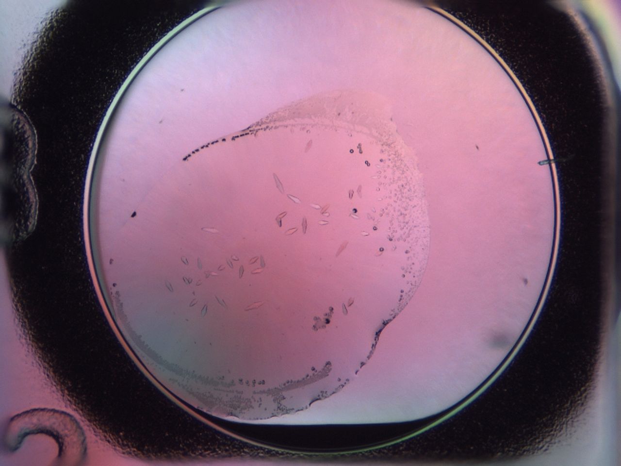 02kk_B12_ImagerDefaults_9.jpg