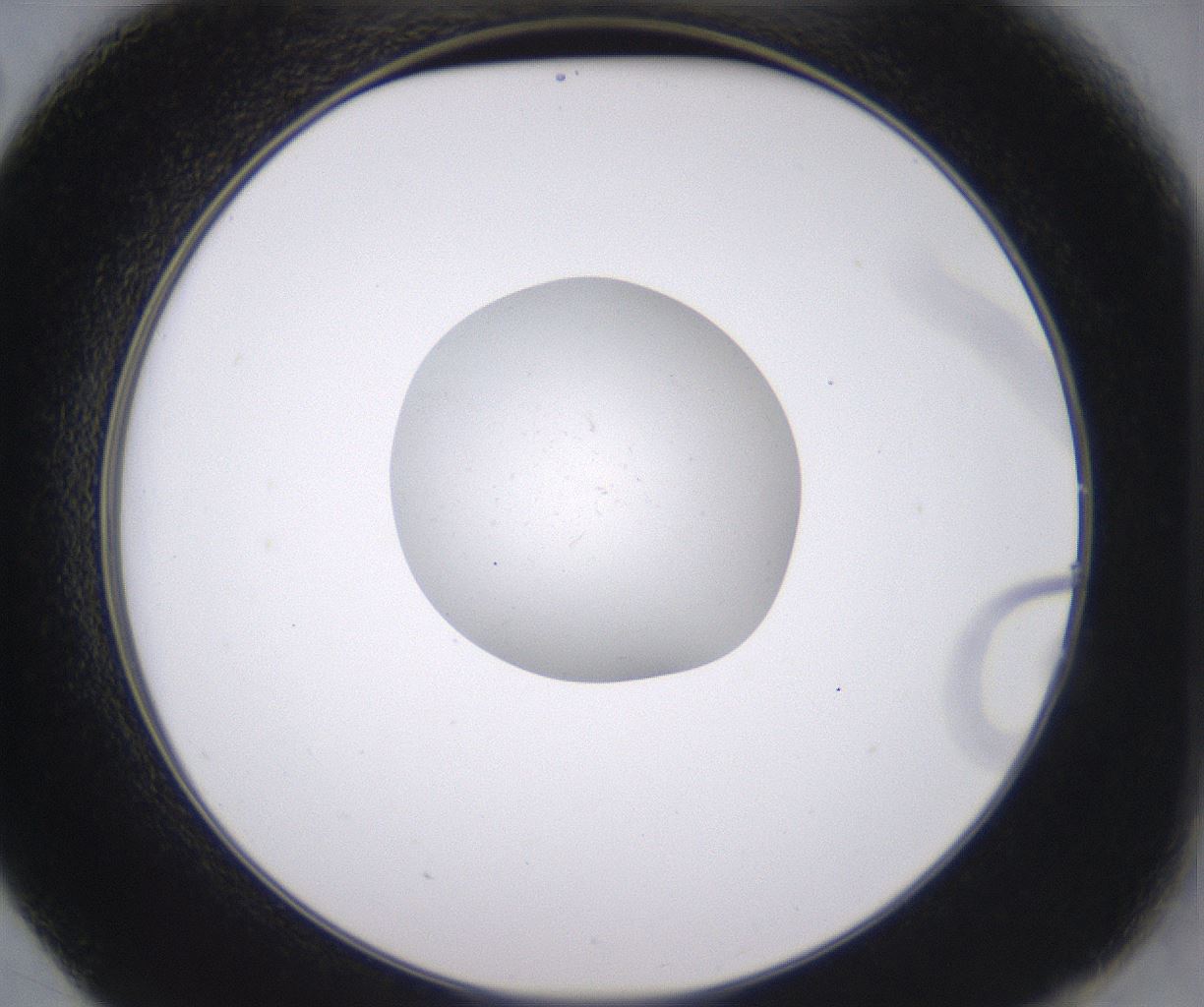 folderID352_plateID2352_batchID11076_wellNum14_profileID1_d2_r166942_ef.jpg