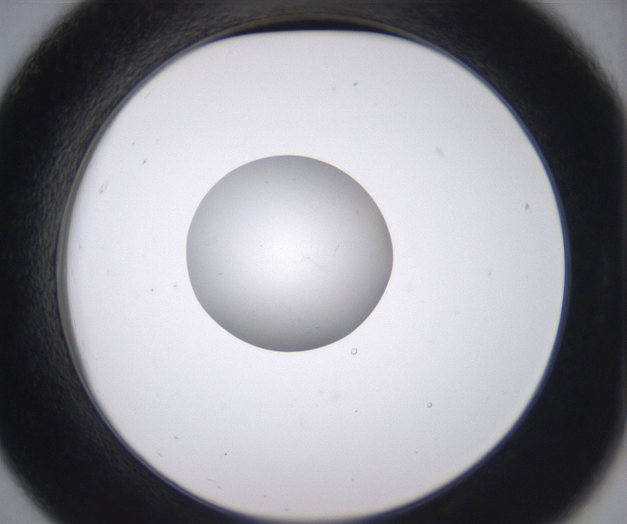 folderID352_plateID2352_batchID11076_wellNum19_profileID1_d2_r166952_ef.jpg