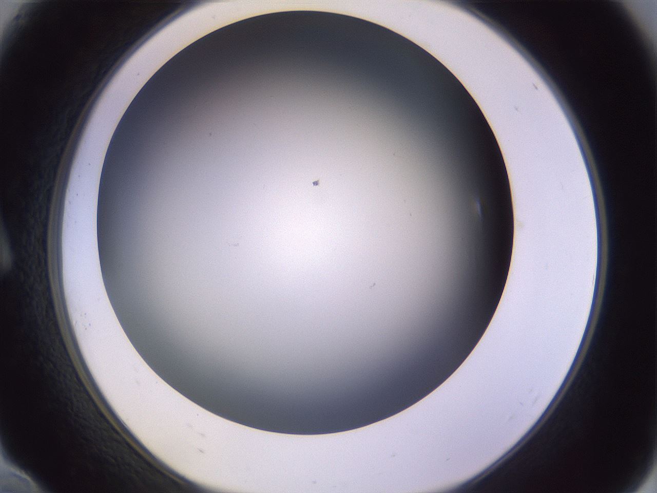 folderID353_plateID1353_batchID4708_wellNum10_profileID1_d1_r81717_ef.jpg