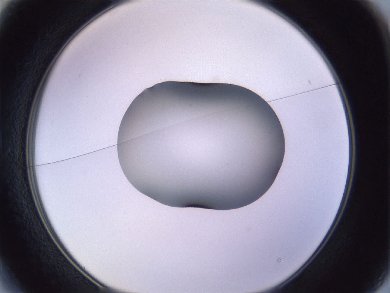 folderID353_plateID1353_batchID4708_wellNum13_profileID1_d1_r81720_ef.jpg