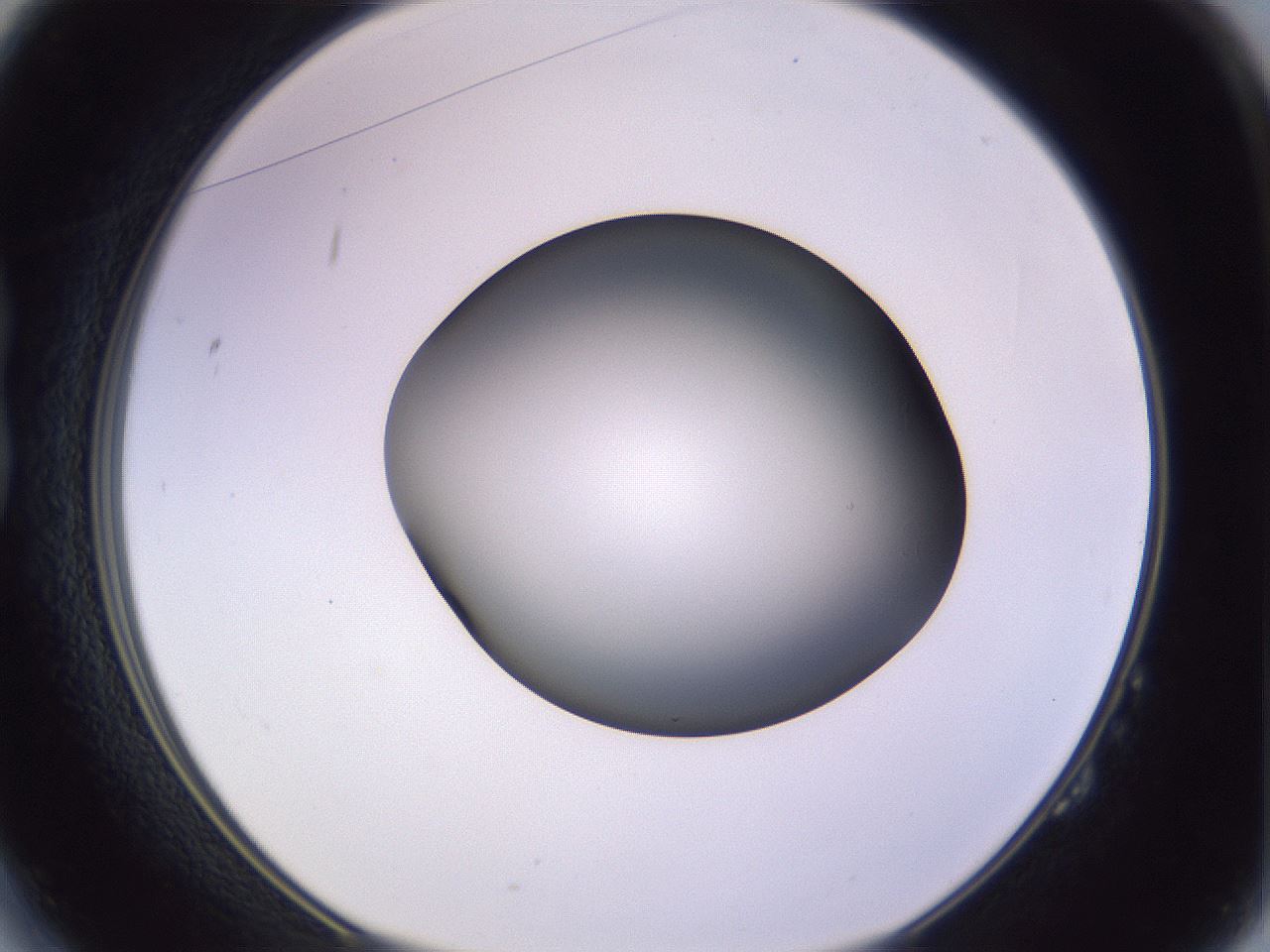 folderID353_plateID1353_batchID4708_wellNum14_profileID1_d1_r81721_ef.jpg