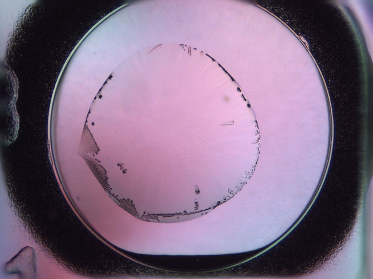 02kk_B11_ImagerDefaults_9.jpg